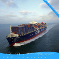 Sea Freight Belgium From China To San Pedro Congo